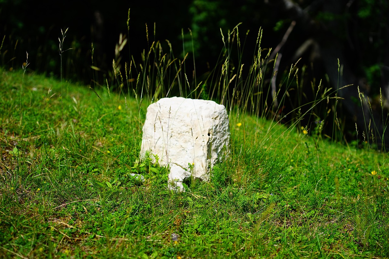 BBC核实:以色列在加沙地带实际控制线超出停火协议预期,深入数百米
根据英国广播公司(BBC)核实团队(BBC Verify)的最新分析,以色列军方在加沙地带的实际控制范围已超出其与哈马斯达成的停火协议所预期的边界线,在某些区域深入加沙地带数百米。
以色列军队在加沙地带设置更深边界线
停火协议于10月10日生效,其中要求以色列军队撤退至一条预设的边界线,通常被称为“黄线”。然而,BBC Verify通过分析近期获得的视频和卫星图像发现,以色列军队在加沙地带的两个关键区域所设置的标记物,比预期中的撤离线深入了数百米。
在加沙地带北部,靠近al-Atatra社区的区域,以色列国防军(IDF)的无人机镜头显示,一排六个黄色方块标记物深入加沙地带多达520米(约569码),超出了以色列国防军地图上所预期的边界。类似的情况也出现在加沙南部。10月19日拍摄的卫星图像显示,在汗尤尼斯市附近,有10个标记物被竖立起来。这些方块组成的边界线,比以色列国防军设定的“黄线”深入了180米至290米(约197-317码)。
这些重型黄色方块是由工人使用推土机和挖掘机,沿着al-Rashid海岸公路放置的。以色列国防部长伊斯拉埃尔·卡茨(Israel Katz)指示部队放置这些黄色方块作为标记。卡茨部长同时警告称,任何越过这条新划定“黄线”的人都将“遭到开火”。据报道,边界线附近已经发生了至少两起致命事件,但具体细节尚未公布。
边界线位置缺乏明确性引发争议
关于这条边界线的确切位置,从停火协议生效前就一直缺乏明确性。在10月10日停火协议生效之前,白宫、时任美国总统唐纳德·特朗普以及以色列军方曾发布过三份不同的地图,这进一步加剧了外界对边界线具体位置的困惑。以色列国防军于10月14日发布了最新版本的在线地图,但其与实际标记物的位置差异,仍是此次争议的焦点。
当BBC Verify就标记物深入加沙地带的指控联系以色列国防军时,以色列国防军并未直接回应这些指控。他们仅表示:“以色列国防军南部司令部部队已开始在加沙地带标记‘黄线’,以建立地面战术清晰度。”以色列国防军的这一声明,与实际标记物深入加沙地带数百米的事实,以及专家对其目的的分析,存在明显的不一致。
专家分析:创建“缓冲区”或“杀伤区”
多位接受BBC Verify采访的分析师认为,以色列军队将标记物深入放置,旨在巴勒斯坦居民与以色列国防军人员之间创建一道“缓冲区”。伦敦国王学院(King's College London)副教授安德烈亚斯·克里格博士(Dr. Andreas Krieg)指出,此举“为以色列国防军提供了机动空间,并针对潜在目标创建了一个‘杀伤区’”。这意味着,以色列军队可能希望在潜在威胁到达其防线之前,就能对其进行打击。
然而,以色列此举可能被视为单方面改变停火协议条款,这可能引发国际法争议,并对停火协议的长期执行产生负面影响。目前,哈马斯方面尚未就以色列实际控制区超出预期发表公开声明,国际社会对此事的反应也尚不明朗。
参考来源
New images show Israeli control line deeper into Gaza than expected — BBC News(2025-10-23):查看原文